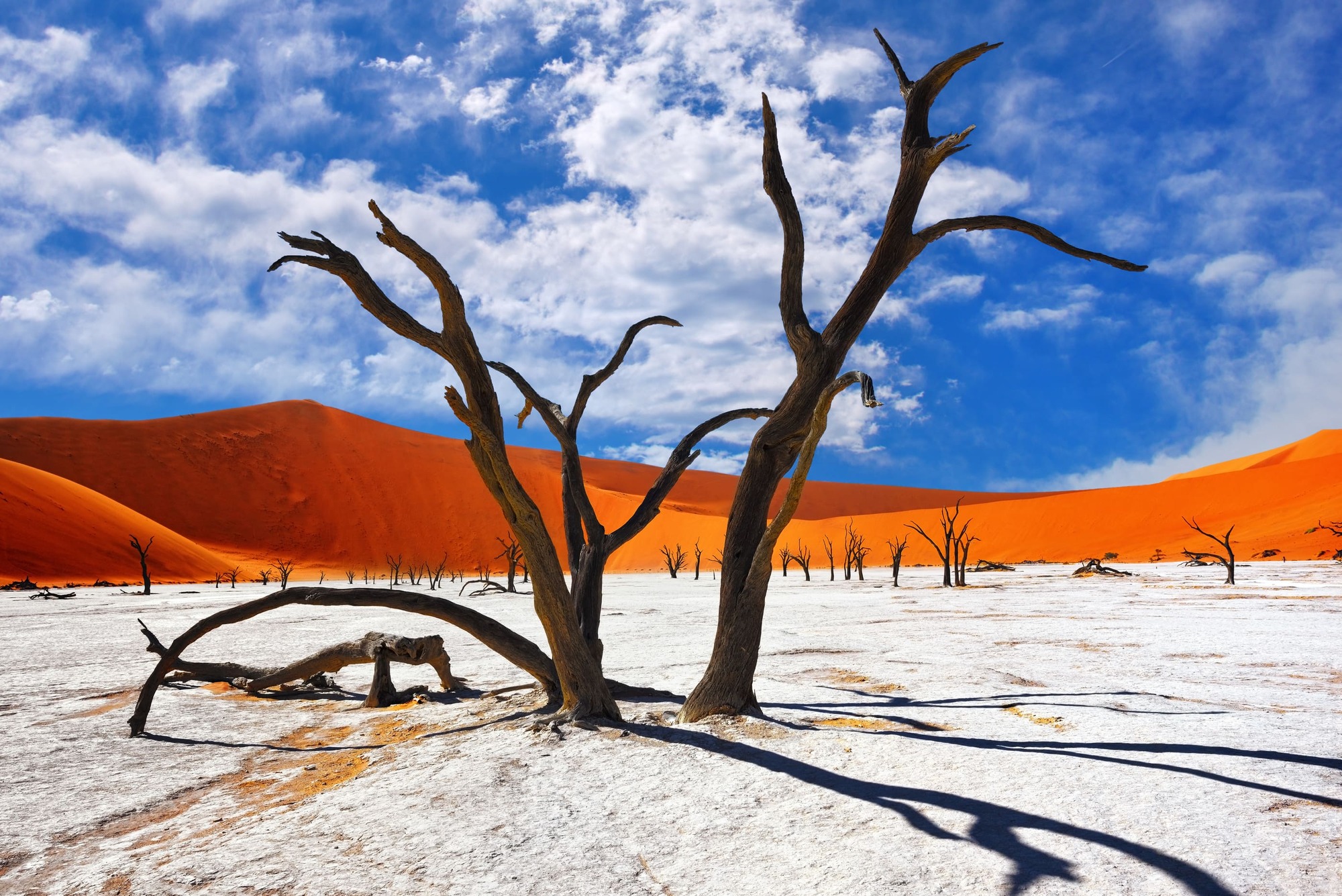 Projet Namibie